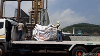 Sebelum dilakukan proses bongkar muat, petugas Balai Karantina Pertanian (BKP) Cilegon terlebih dahulu memeriksa kondisi beras.