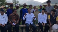 Setelah menggelar acara bagi sertifikat tanah, Jokowi dan TGB berbincang dengan para petani di tengah sawah. (Foto: Ray Jordan/detikcom)