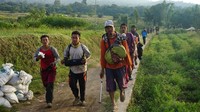 Selain itu, Arifianto menjelaskan, selama proses evakuasi pendaki juga memakai tali pengaman sebab kondisi jalan relatif rusak. Mereka saling bahu membahu agar bisa turun ke bawah gunung.  (Foto: Kanavino Ahmad Rizqo/detikcom)