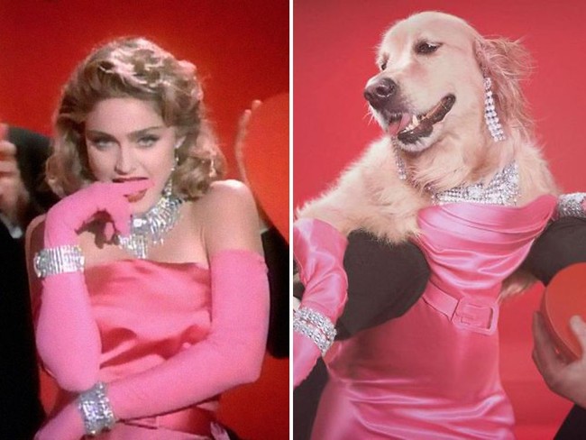 Max benar-benar pandai berpose ke kamera. Lihat saja gayanya ini saat mengikuti pose Madonna dalam video klip Material Girl. Foto: Instagram max_et_vincent