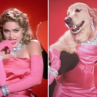 Max benar-benar pandai berpose ke kamera. Lihat saja gayanya ini saat mengikuti pose Madonna dalam video klip Material Girl. Foto: Instagram max_et_vincent