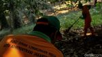Aksi Bersih-bersih Kawasan GBK Hari Ini