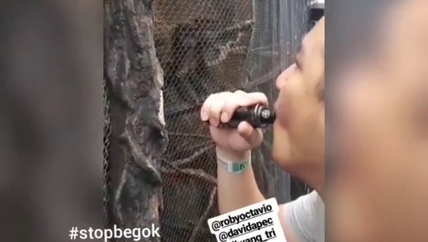 Pria itu mengisap vapor yang asapnya dihembuskan ke monyet
