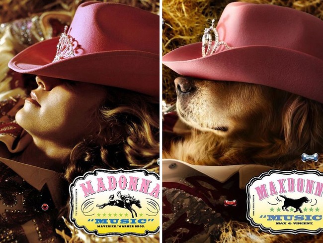 Anjing bernama Max ini adalah milik seorang fotografer Prancis, Vincent Flouret. Melalui Instagramnya @max_et_vincent, sang fotografer mengunggah hasil karyanya di mana dia mendandani anjingnya dengan busana mirip Madonna dan kemudian memotret sang hewan peliharaan dengan gaya serupa penyanyi 59 tahun tersebut. Foto: Instagram max_et_vincent