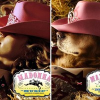 Anjing bernama Max ini adalah milik seorang fotografer Prancis, Vincent Flouret. Melalui Instagramnya @max_et_vincent, sang fotografer mengunggah hasil karyanya di mana dia mendandani anjingnya dengan busana mirip Madonna dan kemudian memotret sang hewan peliharaan dengan gaya serupa penyanyi 59 tahun tersebut. Foto: Instagram max_et_vincent