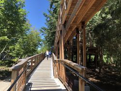 Mengintip Rumah Pohon Buatan Microsoft