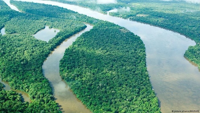 Laju Kerusakan Keanekaragaman Hayati Di Daerah Tropis Makin Mengkhawatirkan