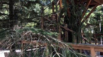 Rumah pohon yang lebih kecil dengan tangga spiral untuk naik keatasnya. (Foto: Matt Weinberger/Business Insider)