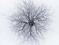 Terpukau Jepretan Foto Jawara Drone 2018