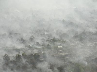 Ancaman Asap dan Kebakaran Hutan saat Asian Games