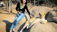 Fera pernah ke Afrika Selatan dan berpose dengan singa (fera_fe/Instagram)