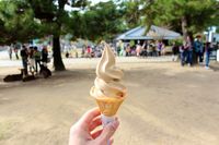 Cuma di Jepang! Ada Es Krim dengan Rasa Tinta Cumi, Pare hingga Wasabi