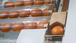 Robot Ini Bisa Bikin 130 Burger dalam 1 Jam, Rasanya Enak Nggak Ya?