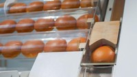 Bun burger yang dipakai Creator adalah brioche dari La Boulangerie. Burger nantinya dipotong menggunakan pisau otomatis. Foto: Business Insider