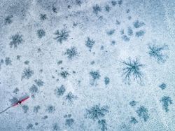 Terpukau Jepretan Foto Jawara Drone 2018