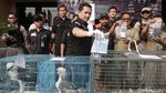 Polisi Bongkar Sindikat Perdagangan Satwa Liar via Medsos