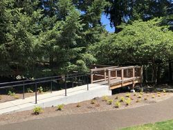 Mengintip Rumah Pohon Buatan Microsoft