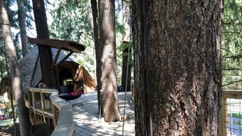 Rumah pohon pertama ini juga merupakan rumah pohon terbesar yang dimiliki Microsoft. Terdapat teras yang luas serta dikeliling pohon yang rindang di tempat ini. Asyiknya dapat bekerja sekaligus hangout dengan teman kantor. (Foto: Matt Weinberger/Business Insider)
