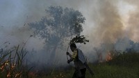 Kebakaran lahan terjadi salah satunya karena lahan gambut yang kering pada musim kemarau membuat lahan gambut menjadi mudah terbakar. Antara Foto/Nova Wahyudi.