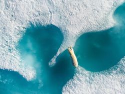 Terpukau Jepretan Foto Jawara Drone 2018