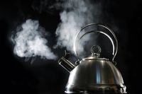 Berbahaya! Tren Viral 'Hot Water Chalengge' Ini Bisa Berakibat Cacat hingga Kematian