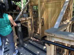 Mengintip Rumah Pohon Buatan Microsoft