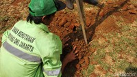 Penanaman pohon guna menghijaukan kawasan Bundaran HI.