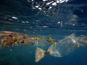 Cara Susi Bersihkan Laut dari Sampah Plastik
