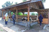 (Wisma Putra/detikTravel)