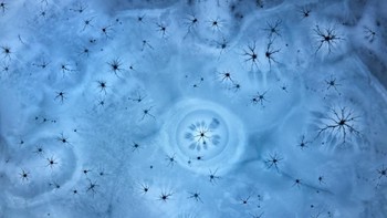 Pemenang kedua  kategori Abstrak Ice Magic karya fotografer Martin Mecnarowski. (Foto: 2018 Drone Awards)