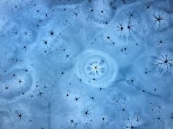 Terpukau Jepretan Foto Jawara Drone 2018