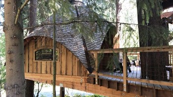 Salah satu dari 3 rumah pohon tersembunyi milik Microsoft. (Foto: Matt Weinberger/Business Insider)