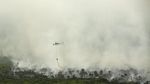 Ancaman Asap dan Kebakaran Hutan saat Asian Games