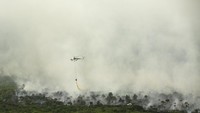 Pihak TNI pun dikabarkan turun tangan untuk menangani kebakaran lahan tersebut agar bahaya asap tidak mengganggu Asian Games. Antara Foto/Nova Wahyudi.