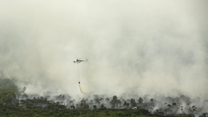 Pekanbaru Mulai Diselimuti Kabut Asap