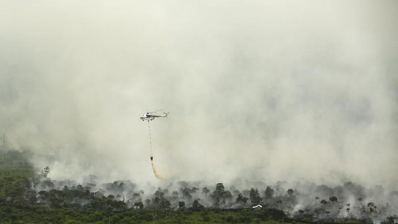 Hasil gambar untuk FOTO kabut asap