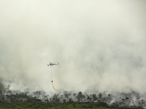 Pekanbaru Mulai Diselimuti Kabut Asap