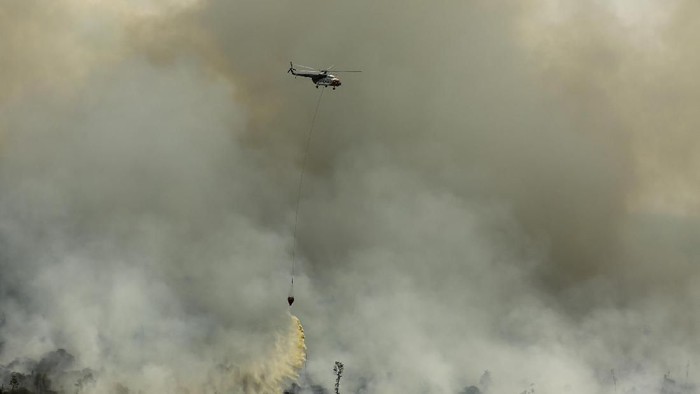 Bakar Ribuan Hektare Lahan, Bos Perusahaan Ini Jadi Tersangka