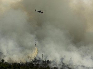 Bakar Ribuan Hektare Lahan, Bos Perusahaan Ini Jadi Tersangka