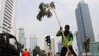 Satu per satu pohon ditanam di taman yang membelah Jalan Thamrin.