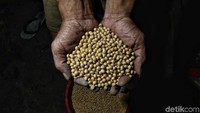 Sebelumnya, Pemprov DKI Jakarta mewacanakan dan berencana untuk menghentikan proses/produksi tempe yang berada dibantaran kali Item, karena diduga menjadi salah satu penyebab bau di kali tersebut.
