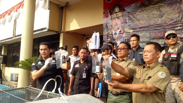 Polisi bongkar jual-beli ilegal satwa liar