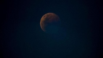Pada 27 Juli 2018, Grest siap mengambil foto gerhana Bulan. Warna kebiruan dari foto itu sebenarnya warna atmosfer Bumi yang terpantul di Bulan, jelas Grest. Foto: via Business Insider