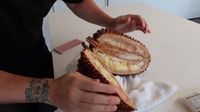 Niat Cicip Durian, Pasangan Amerika Ini Malah Tertipu Durian Busuk