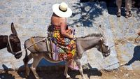 Turis obesitas naik keledai di Santorini (Getty Images)