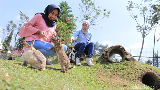 Destinasi Baru dari Bandung, Pulau Kelinci Hingga Rumah Permen