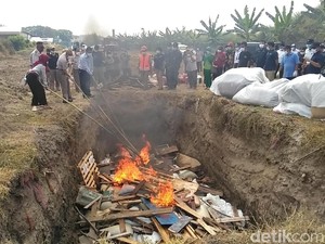 Karantina Musnahkan Benih dan Komoditas Hewan Senilai Rp 2 Miliar