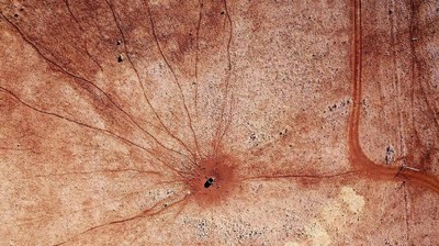 Bukan Foto Bakteri, Ini Tanah Kering di Australia