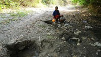 Warga mengambil sisa air endapan di Sungai Kalimati, Juwangi, Boyolali, Jawa Tengah. Menurut warga setempat, akibat kemarau dalam sebulan terakhir warga kesulitan mendapatkan air bersih dan terpaksa mengambil air dari lubang endapan sungai untuk kebutuhan air minum, mandi dan mencuci. Antara Foto/Aloysius Jarot Nugroho.