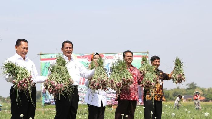 Foto: Imam Suripto/detikcom Foto: Imam Suripto/detikcom